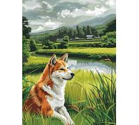 Kit Broderie Point de Croix Estampé 11CT Facile pour Débutants et Adultes,Ensemble Initiation DIY Créatif avec Motifs pour Loisirs Manuels à la Maison,Chien jouant dans l'herbe-60x80cm