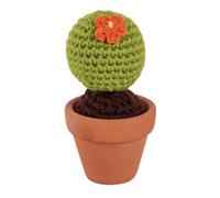 Kit: Cactus Boule, 4,5cm 9cm, Verre 1pce.
