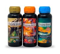 Kit Candy - Croissance Force et Floraison - 3 x 500 ml chacun - Madame Grow