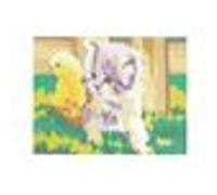 Kit canevas 15x20cm Chaton poussin toile coton + aiguille + fils enfants broderie MULTICOLORE G
