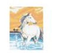 Document Capture Technologies Kit canevas Cheval Blanc - 12 15x20 cm toile coton, aiguille et fils