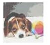 Generique Kit canevas Le Chiot 15x20 cm Aiguille incluse Fils 100% coton Instructions fournies
