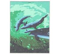 Kit canevas 15x20cm Dauphin mer toile coton + aiguille + fils enfants broderie MULTICOLORE