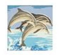 Generique Kit canevas Trio de dauphins 15 x 20 cm – toile coton, aiguille et fils – multicolore