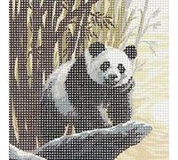 Generique Kit canevas Le Panda