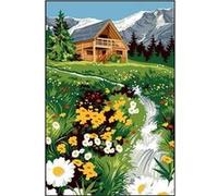 Kit canevas 22x30cm Le petit torrent + aiguille + fils coton broderie Fabrication Française MULTICOLORE G