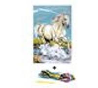 SEG Kit canevas Cheval blanc 30 x 40 cm Multicolore Ref 001