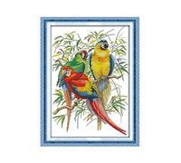 Kit Canevas au Demi Point Croix Ensemble de broderie tapisserie Ensemble de broderie au point de Y compris fil de coton multi-brins - Perroquet animal 39x54cm (sans Cadre)