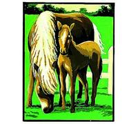 kit Canevas avec Fils Le Cheval et Son Poulain - Margot