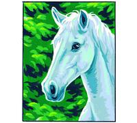Kit Canevas Blanc Cheval Blanc 20x25cm