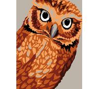 Kit Canevas Blanc Hibou 20x25 Cm 100% Coton