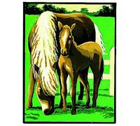 Kit Canevas Blanc Jument Et Son Poulain 20x25cm - Mrck766602482