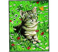 Kit Canevas Chat 20x25 Cm