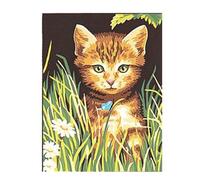 Kit Canevas Chat 25x30cm