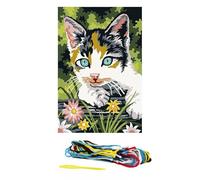 Kit Canevas Chaton gris et blanc - 35