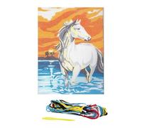 Kit canevas 15x20cm Cheval blanc toile coton + aiguille + fils enfants Equitation MULTICOLORE