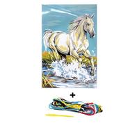 SEG Kit canevas Cheval blanc 30 x 40 cm Multicolore Ref 001