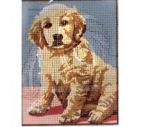 Kit Canevas Chiot Golden Retriever 14 x 18 cm Pénélope Blanc Petits Trous