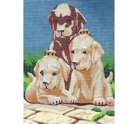 Distrifil Kit Canevas Chiots Labradors 15 x 20 cm