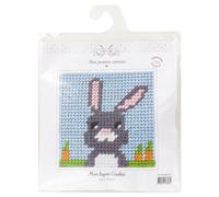 Kit Canevas Complet Mon Lapin Cookie 15 x 15 Enfant Gros Trous