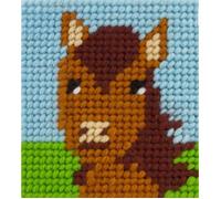 Kit Canevas complet Un amour de cheval 15 x 15 Enfant gros trous
