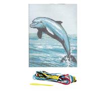 Kit canevas Dauphin - Ref 010