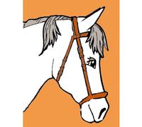 Kit Canevas Enfant Cheval 20x25cm