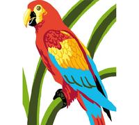 Kit Canevas Enfant Perroquet 20x25cm