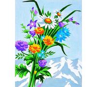Kit Canevas Fleurs De Montagne 20x25cm - Mrck76660181