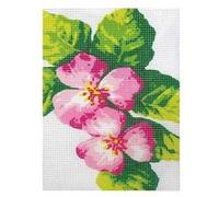 Kit canevas fleurs roses toile coton + aiguille + fils broderie couture marque CARE CREATE MULTICOLORE G
