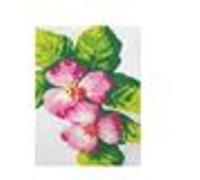 Kit canevas fleurs roses toile coton + aiguille + fils broderie couture marque CARE CREATE MULTICOLORE G