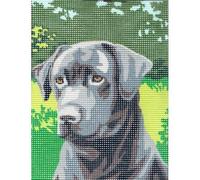 Kit Canevas Le Labrador 15 X 20 Cm