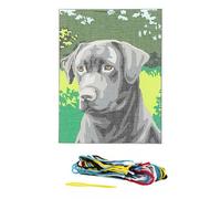 Kit Canevas Le Labrador
