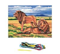 Kit Canevas Les Lions - 32