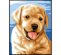 Kit Canevas Margot Chiot 20x25 Cm