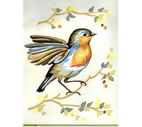 Kit Canevas Oiseaux E 14 x 18 cm Pénélope Blanc Petits Trous