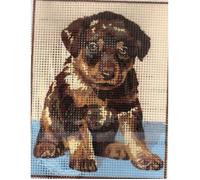 Kit Canevas - Pénélope - Beauceron - 14 x 18 cm - Toile imprimée - Aiguille et fil inclus