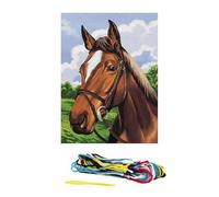 Kit canevas 15x20cm Tête de cheval toile coton + aiguille + fils enfants broderie MULTICOLORE