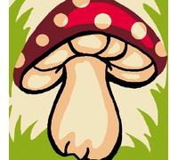 Kit Canevas Soudan Champignon 25x25 Cm