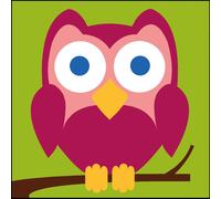 Kit Canevas Soudan Chouette 20x20 Cm - Mrck1435208