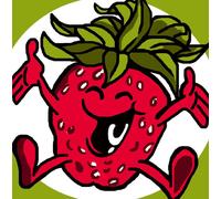 Kit Canevas Soudan Fraise 25x25cm