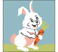Kit Canevas Soudan Lapin 25x25cm