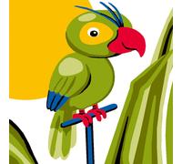 Kit Canevas Soudan Perroquet 25x25cm