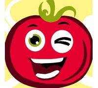 Kit Canevas Soudan Tomate 20x20cm