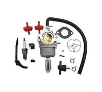 Kit Carburateur 792036 793371 Compatible pour b&s pour robuste