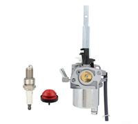 Kit Carburateur Acier pour Souffleuse Neige pour ariens Kit Carburateur