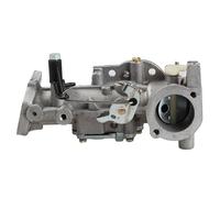 Kit carburateur Carburateur 135292 pour Briggs pour Stratton 133237 133252 133292 135212 135217 135232 133252