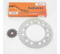 Kit Chaîne Axring Pour Moto Gas Gas 250 Ec 13x45 Pas 520 Neuf