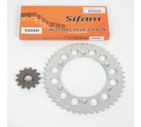 Kit Chaîne Axring Pour Moto Gas Gas 300 Tt 1997 À 1999 13x45 Pas 520 Neuf