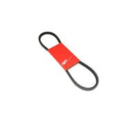 KIT CHAINE COURROIE CYCLO ADAPTABLE PEUGEOT 103 SP-MVL CRANTEE P2R (Motoris)